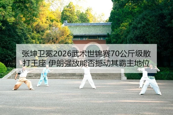 zhang-kun-wei-mian-wu-shu-shi-jin-sai-gong-jin-ji-san-da-wang-zuo-yi-lang-qiang-di-neng-fou-han-dong-qi-ba-zhu-di-wei-2-129.jpg